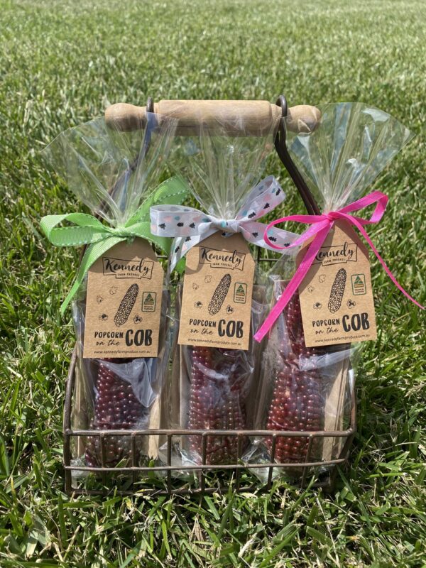 Rustic Red Single Popcorn Cobs
