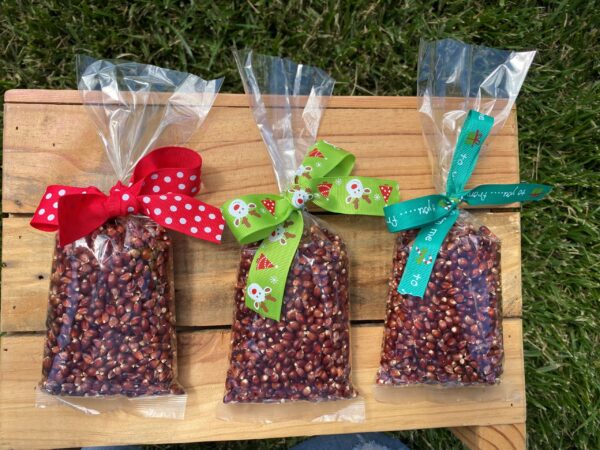 Rustic Red Popcorn Kernels