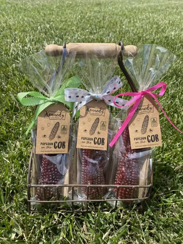 Rustic Red Single Popcorn Cobs