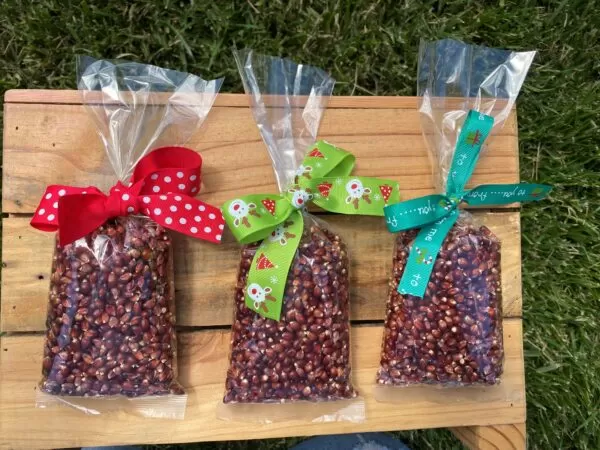 Rustic Red Popcorn Kernels